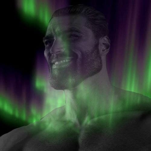 Muscular man smiling with green auroras in the background.