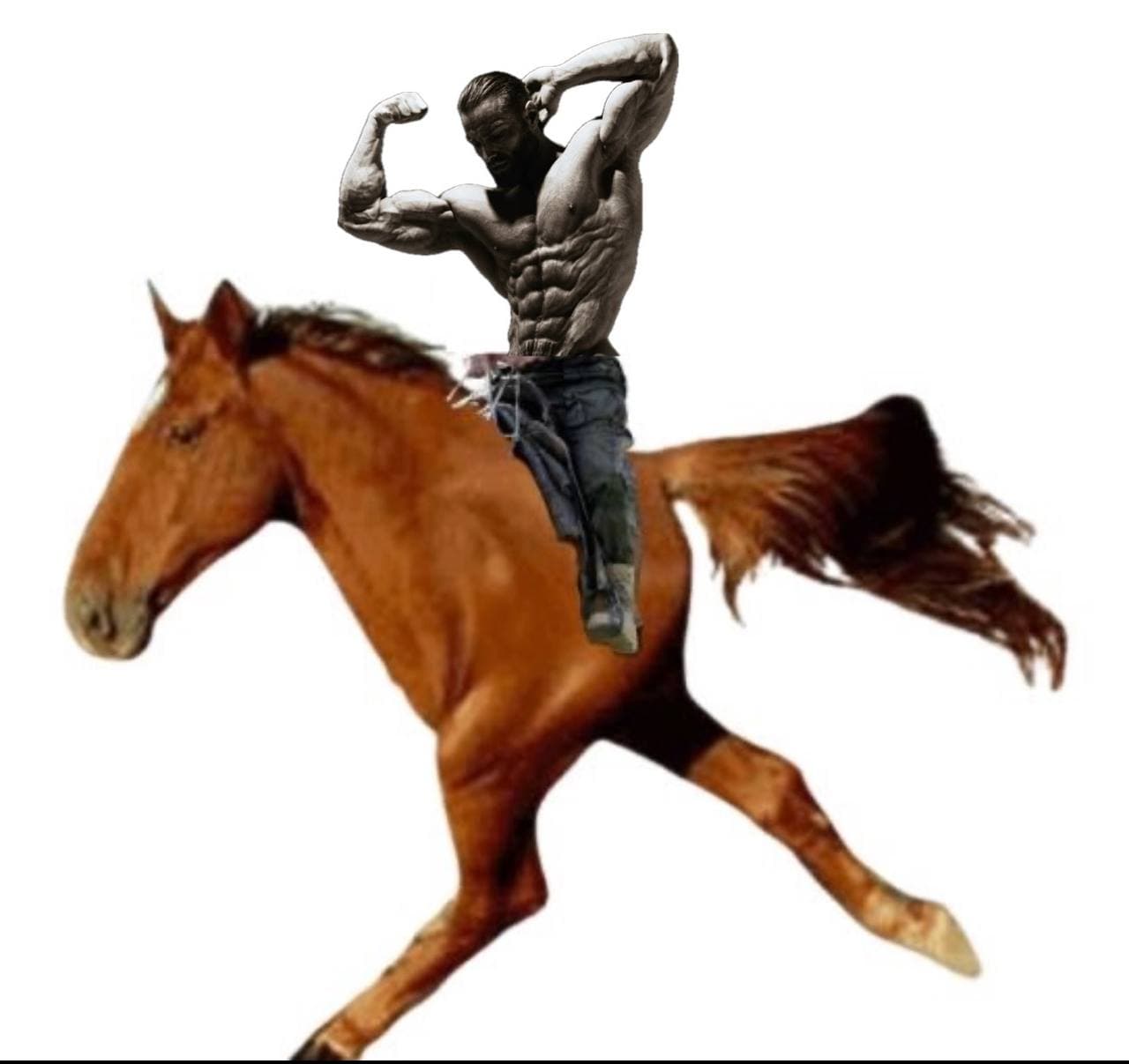 Muscular man flexing on a horse.