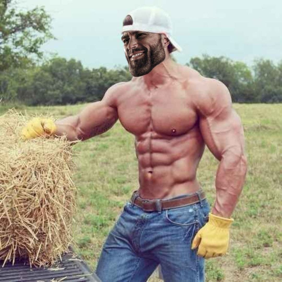 Muscular man lifting hay in a farm setting.