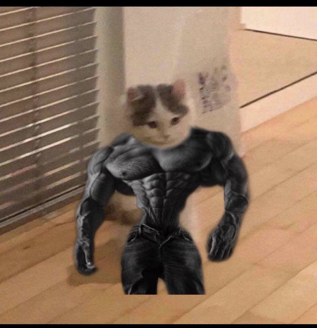 Muscled cat with human body stands in a room.