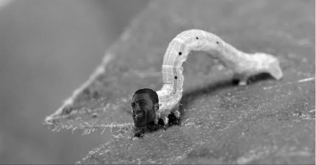 Caterpillar with GigaChad face humorously exaggerated.