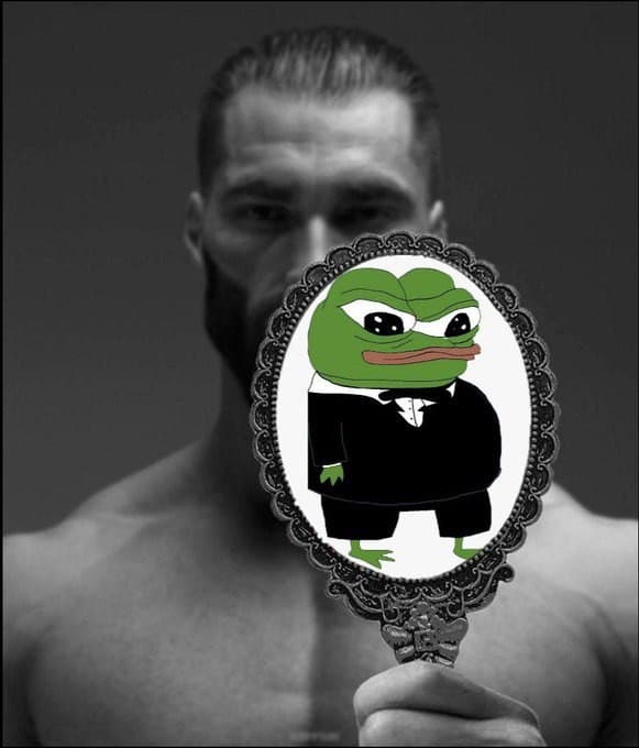 Muscular man holding a mirror with cartoon frog reflection.