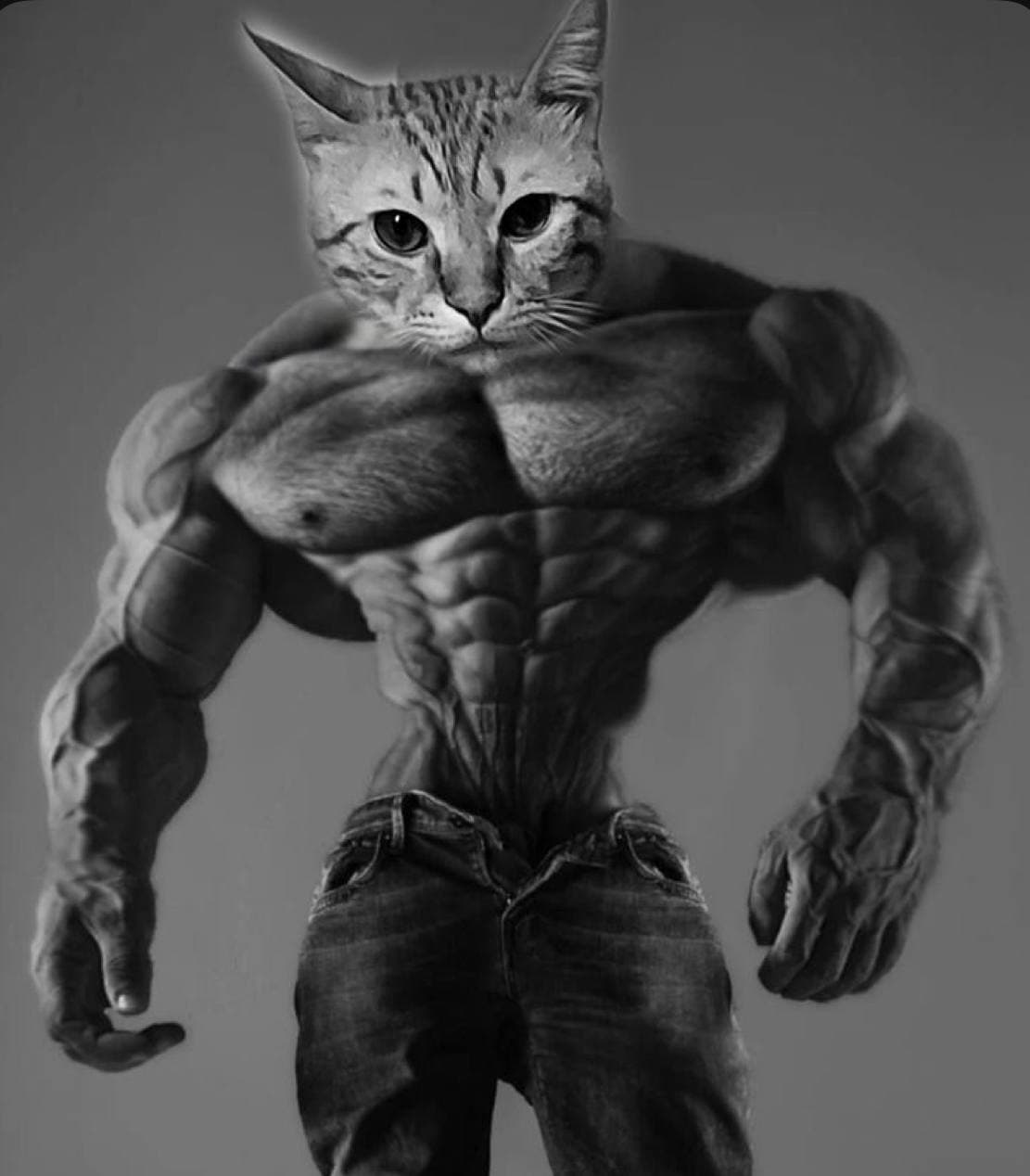 Muscular cat-human hybrid in jeans striking a pose.