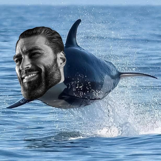 An orca jumps, featuring a man's face smiling confidently.