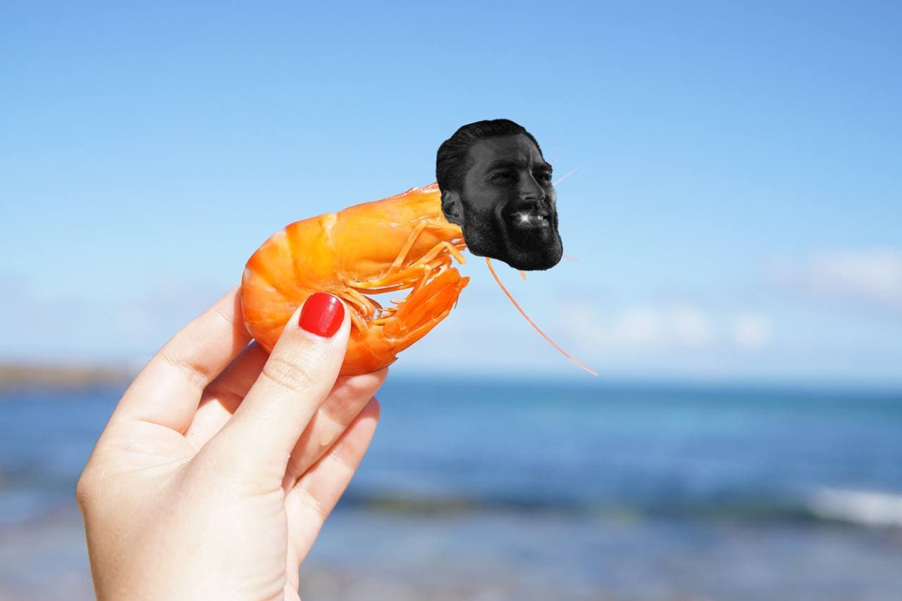 Shrimp with a man's face held by a hand at the beach.