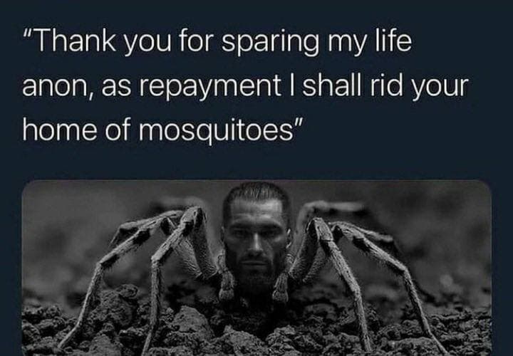 Muscular man with a spider body thanks for saving him.
