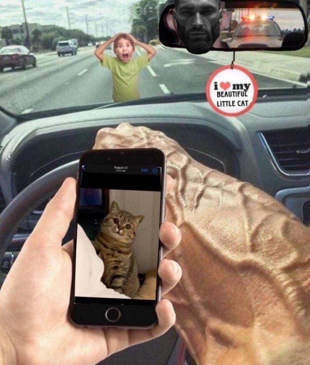 A child reacts to a phone showing a cat while driving.