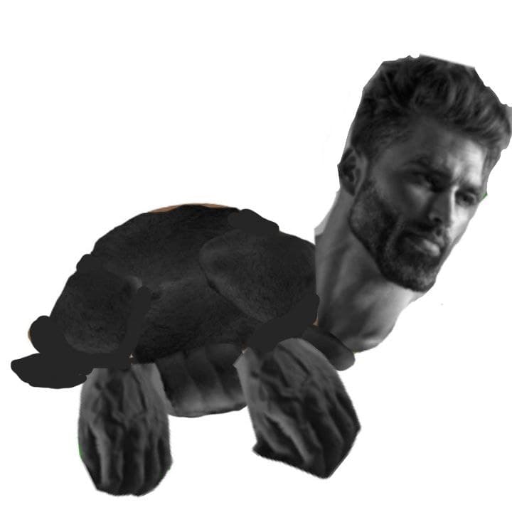 Muscular turtle with a man's head in a humorous style.