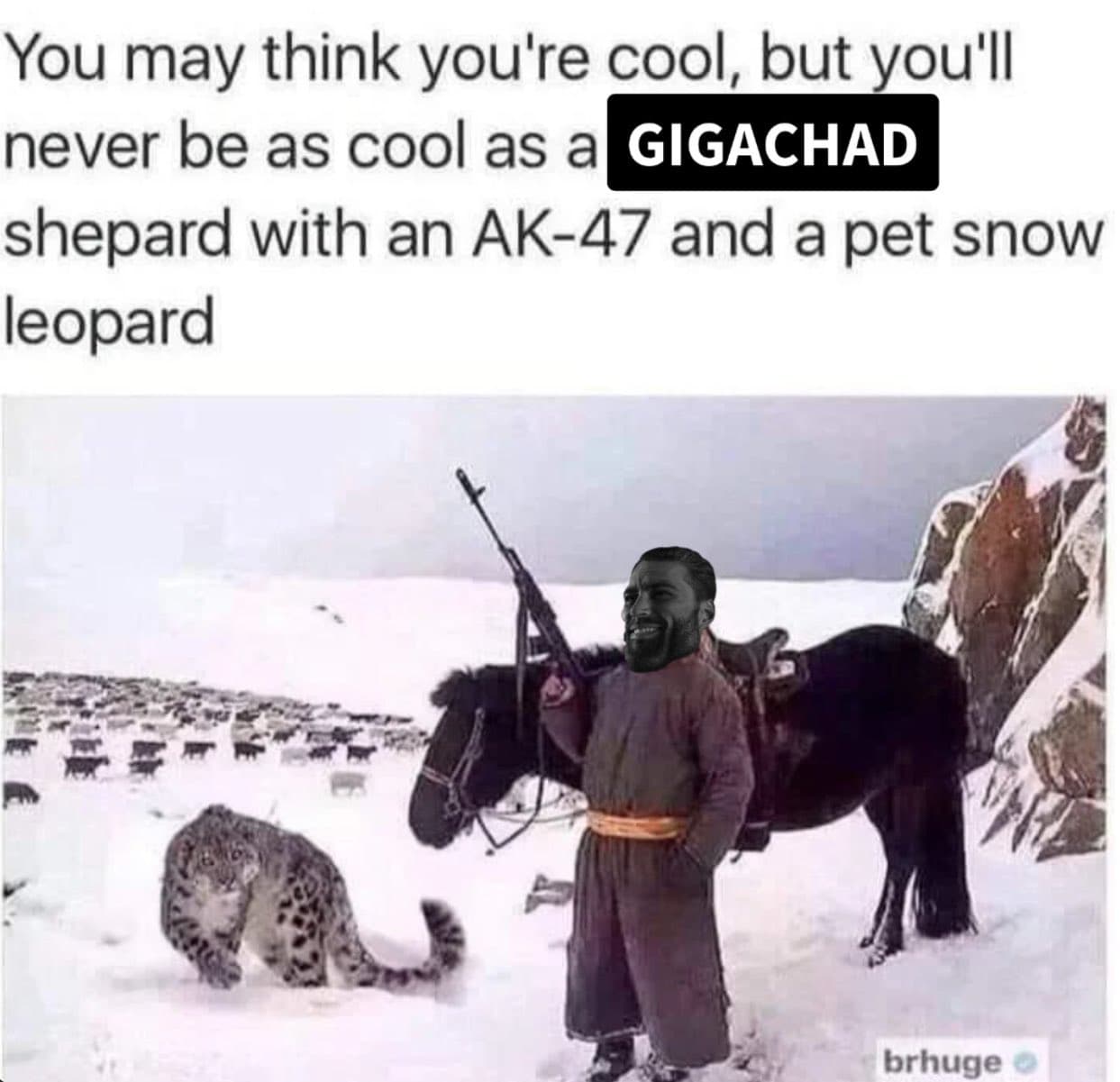 A man with an AK-47 stands by a snow leopard.
