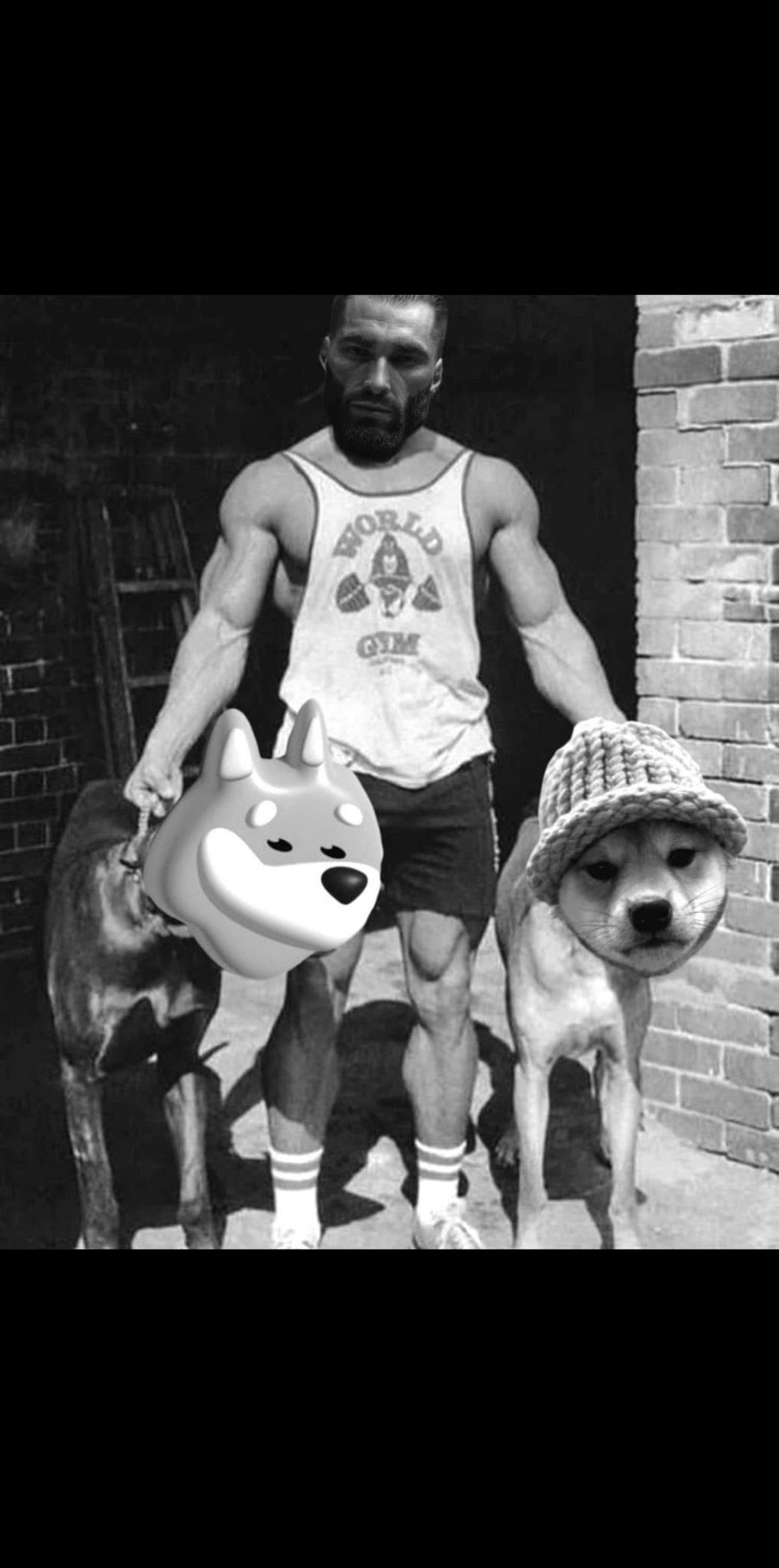 Muscular man with cartoon dog heads posing humorously.