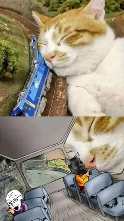 A sleeping cat beside a train, with a humorous cartoon twist.