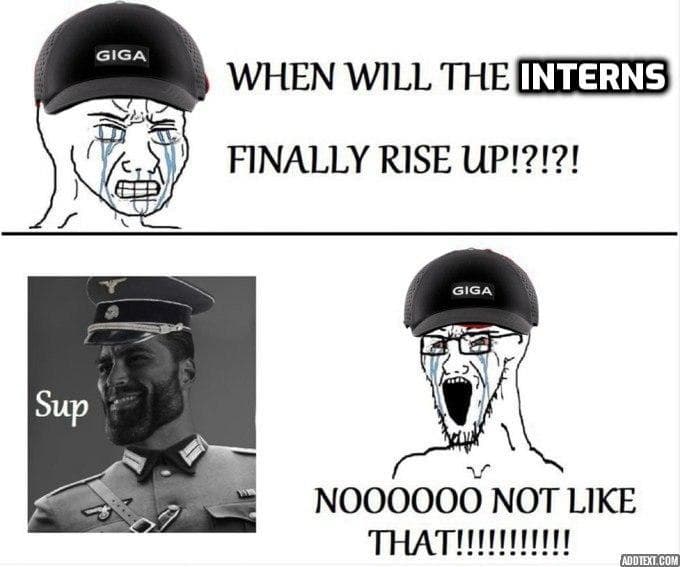 A meme about intern expectations and reactions.