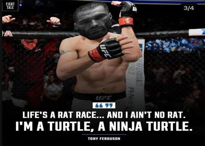 Muscular fighter asserts he's a ninja turtle during UFC match.