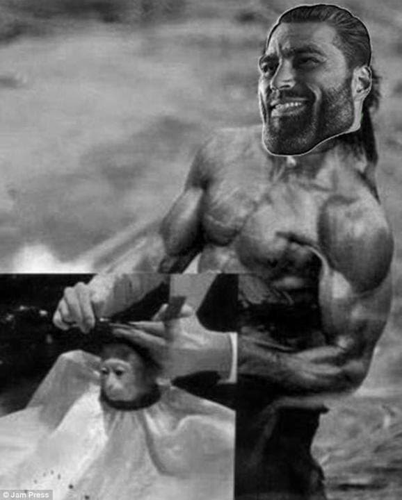 Muscular man with a monkey getting a haircut.