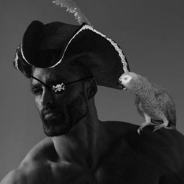 Muscular pirate with a parrot on his shoulder.